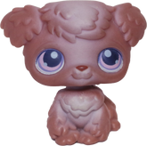 #0038 Poodle Puppy